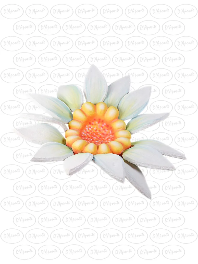 D'APONTE P256 SUNFLOWER | D'Aponte | Photo Props