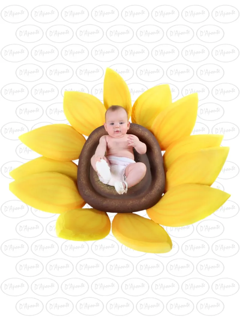 D'APONTE P284 YELLOW SUNFLOWER | D'Aponte | Photo Props