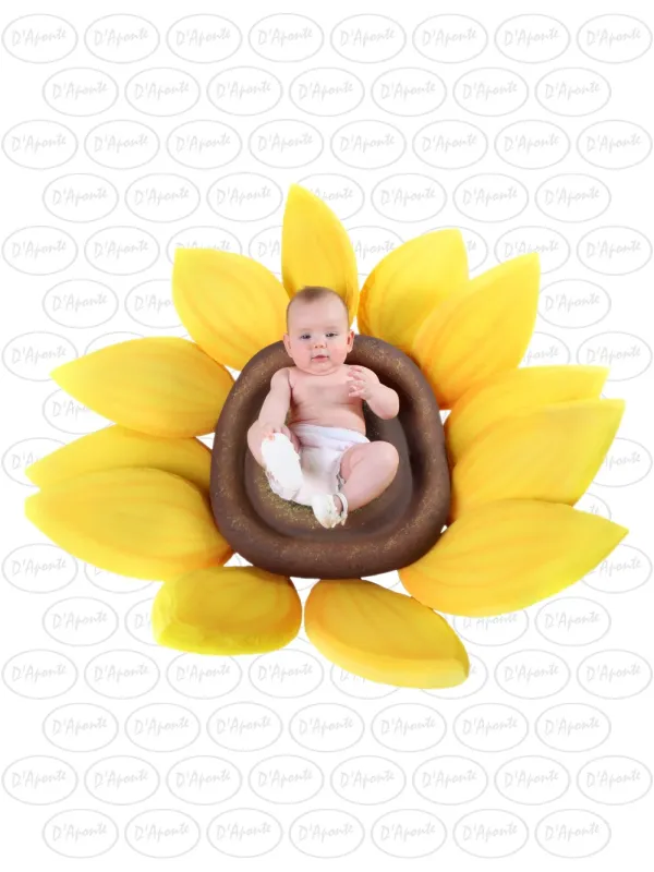 D'APONTE P284 YELLOW SUNFLOWER | D'Aponte | Photo Props