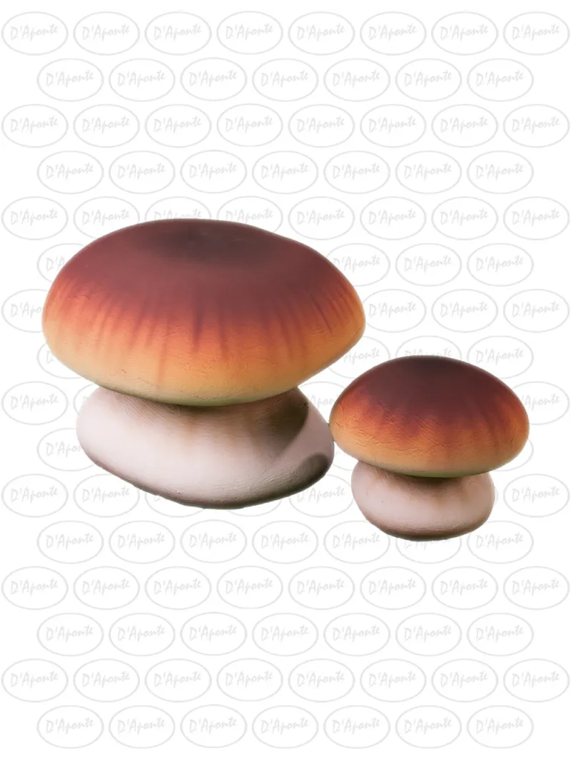 D'APONTE P442 KIT 2 FUNGHI PINAROLO