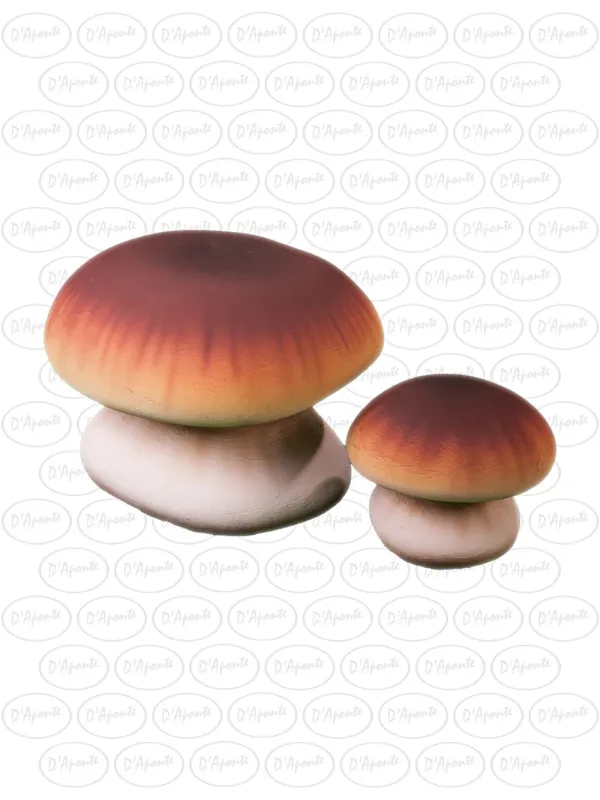D'APONTE P442 KIT 2 FUNGHI PINAROLO