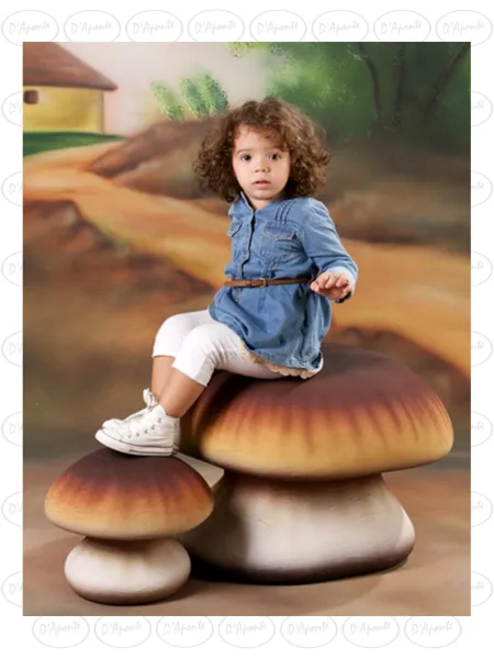 D'APONTE P442 TWO PINAROLO MUSHROOMS KIT | D'Aponte | Photo Props 2