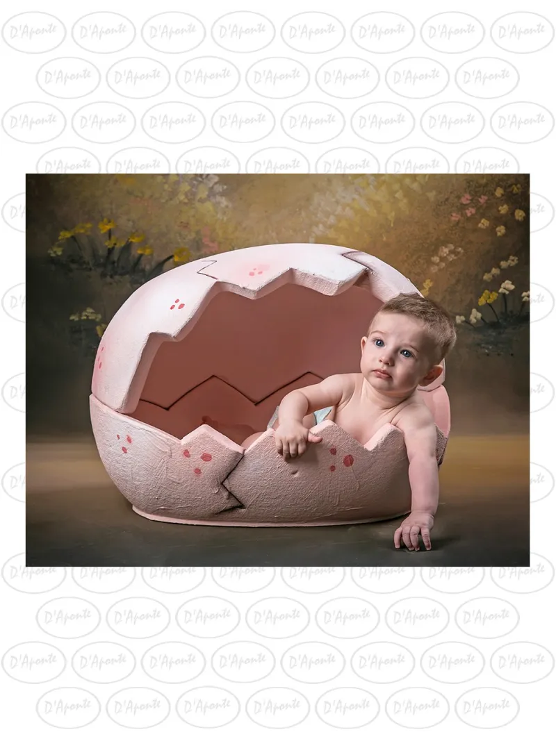 D'APONTE P471 EGG WITH 3 FLAKES | D'Aponte | Photo Props