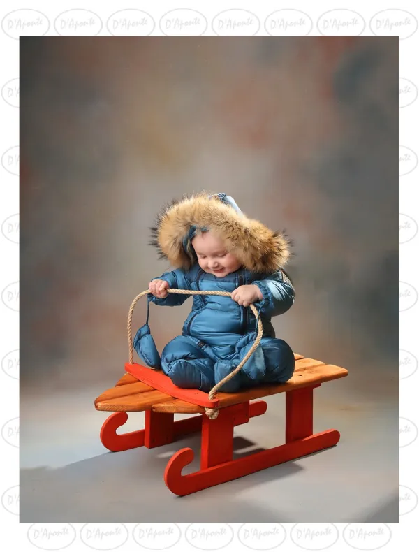 D'APONTE P516 SLED | D'Aponte | Christmas Props