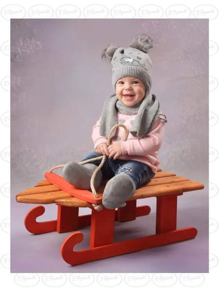 D'APONTE P516 SLED | D'Aponte | Christmas Props 2