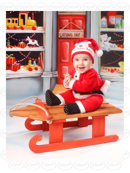 D'APONTE P516 SLED | D'Aponte | Christmas Props