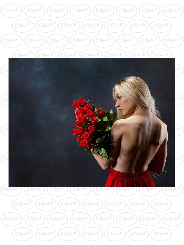 D'APONTE CANVAS BACKDROP PR 12-959 | D'Aponte | Premium Backdrops - PR