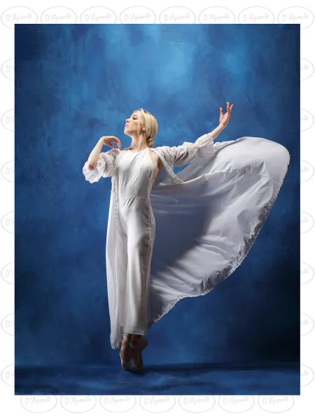 D'APONTE CANVAS BACKDROP PR 12-966 | D'Aponte | Premium Backdrops - PR