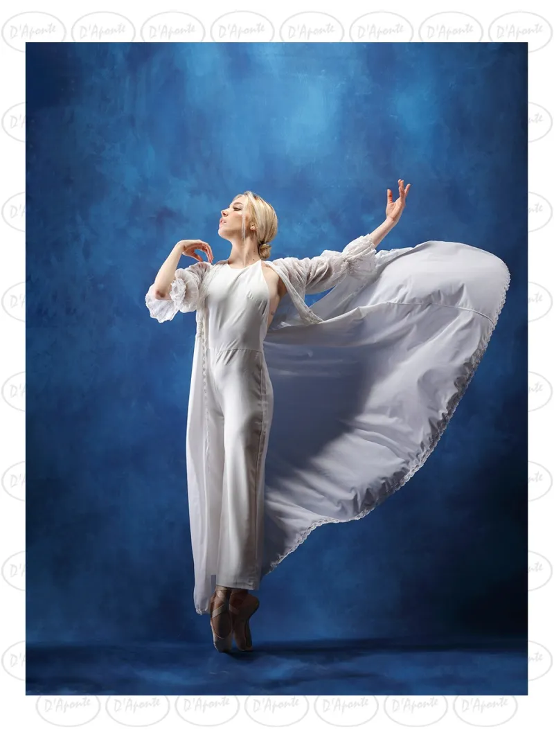 D'APONTE CANVAS BACKDROP PR 12-966 | D'Aponte | Premium Backdrops - PR