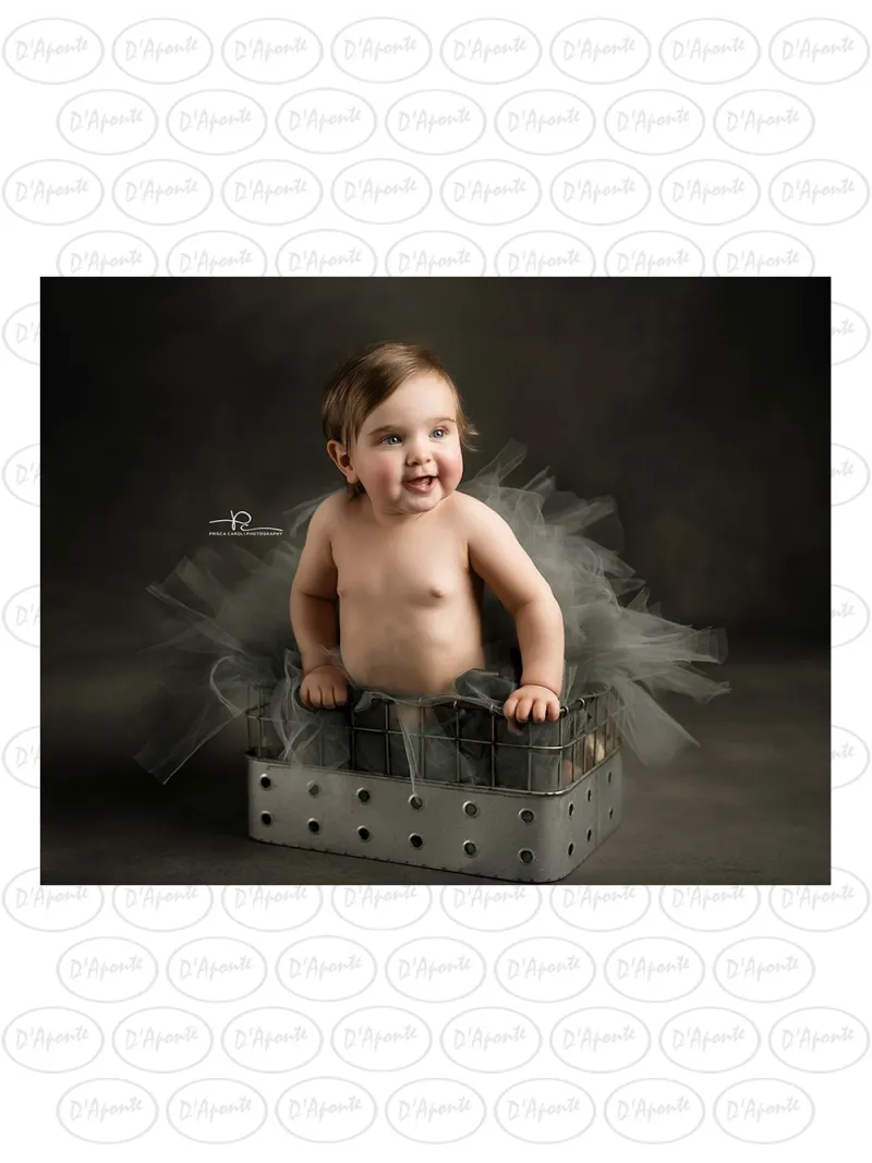 D'APONTE CANVAS BACKDROP PR 12-992 | D'Aponte | Premium Backdrops - PR