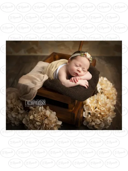 D'APONTE NEWBORN NB009 BARROW-BABY COT | D'Aponte | Newborn Accessories