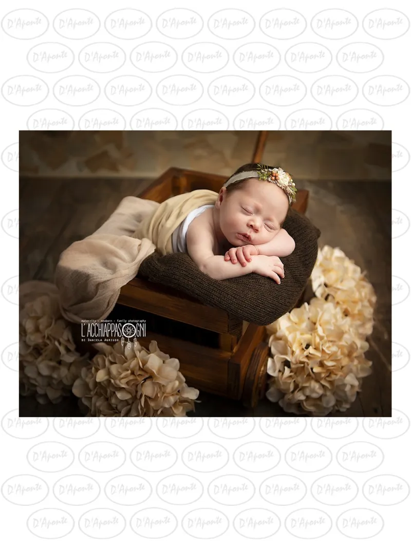 D'APONTE NEWBORN NB009 BARROW-BABY COT | D'Aponte | Newborn Accessories