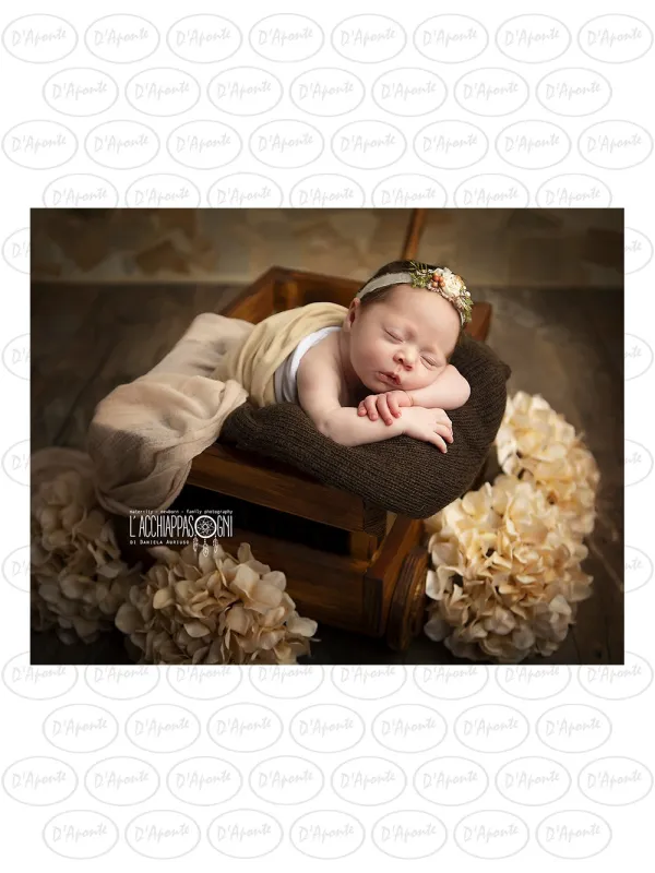 D'APONTE NEWBORN NB009 CARRETTO-CULLA