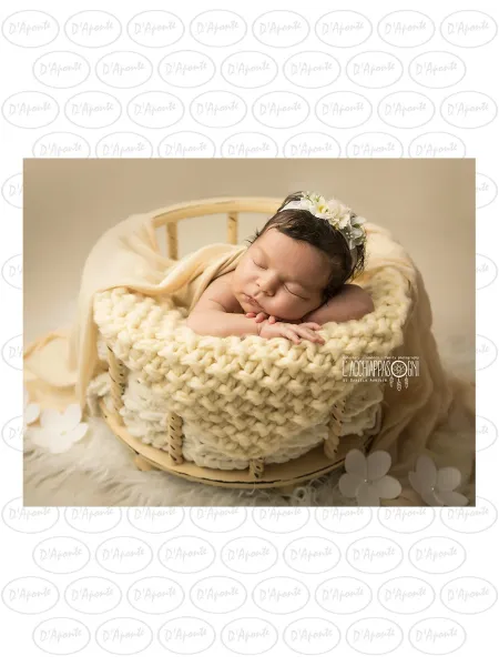 D'APONTE NEWBORN NB016 ROUND BOX | D'Aponte | Newborn Accessories